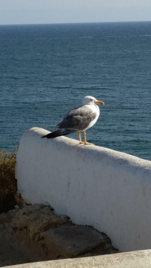 포르체스 Algarve/Sra Da Rocha 아파트 외부 사진